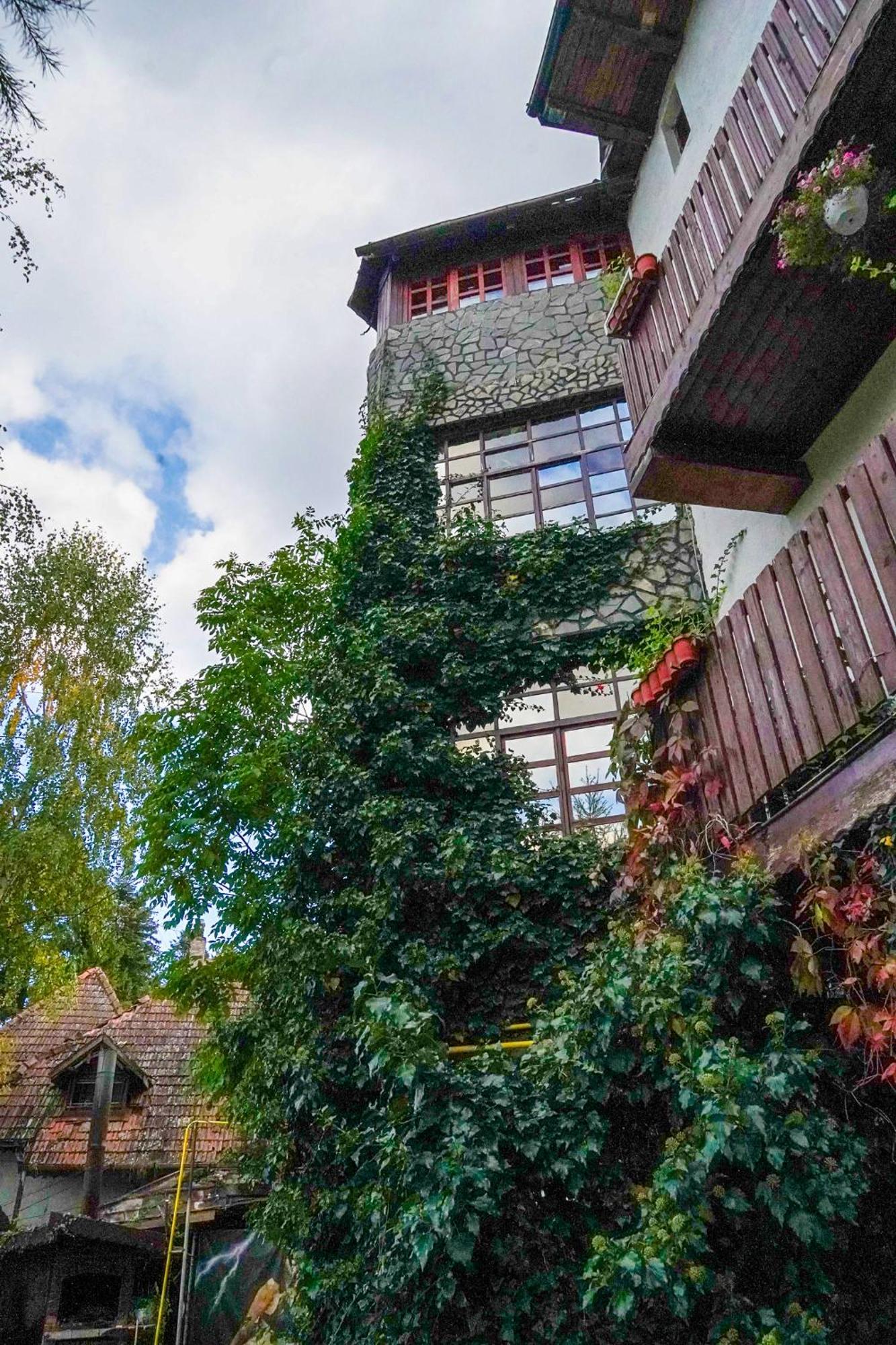 Pensiune Turistica Milcov-Vladet Predeal Dış mekan fotoğraf